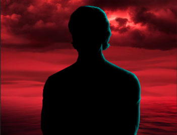 Ветка c фаворитом из Клуба Романтики