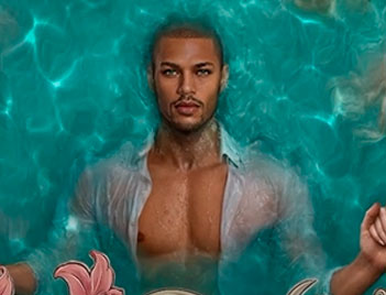 Ветка c Фаворитом из Клуба Романтики